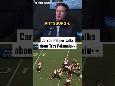 Carson Palmer talks about infamous Troy Polamalu pick 6…👀😂 #steelers (@PardonMyTakePodcast)