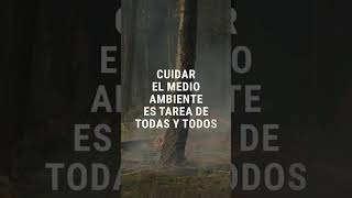 Día Mundial de la Prevención de Incendios Forestales
