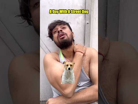 A Day With A Street Dog😭 #shorts #trending