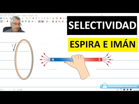 Selectividad. Física. Electromagnetismo. Espira.