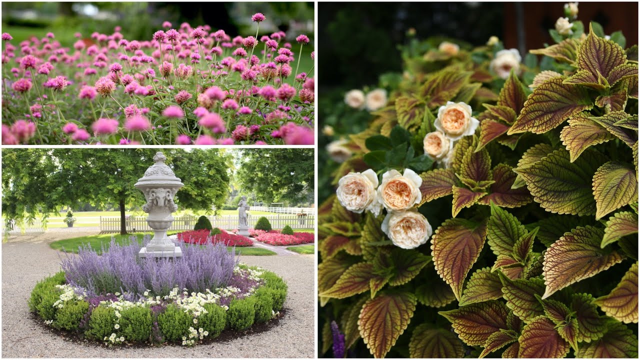 A Look Back At the Plants that Performed This Year Pt 1