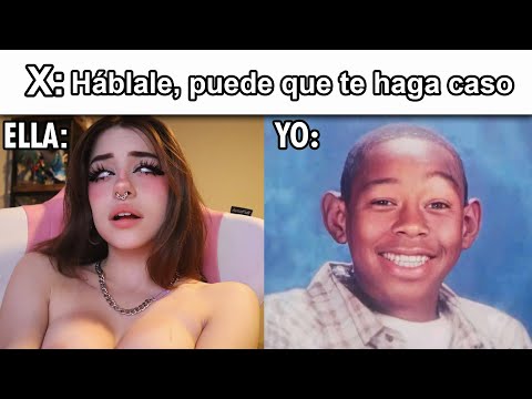 14 MINUTOS DE MEMES XD