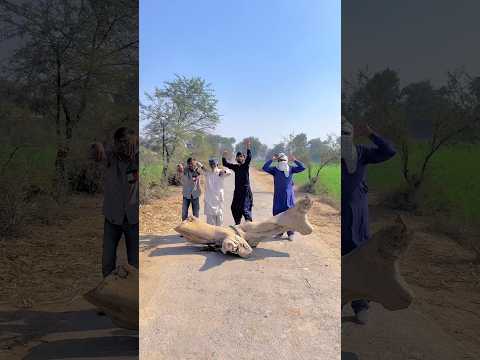 rah geer par Allah ki rahmat#india #pakistan #viralshorts #trendingnow