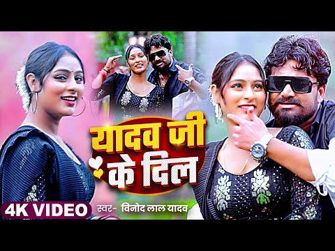 #रंगदारी - यादव जी के दिल | #Vinod Lal Yadav | Yadav Ji Ke Dil | Bhojpuri Song 2024