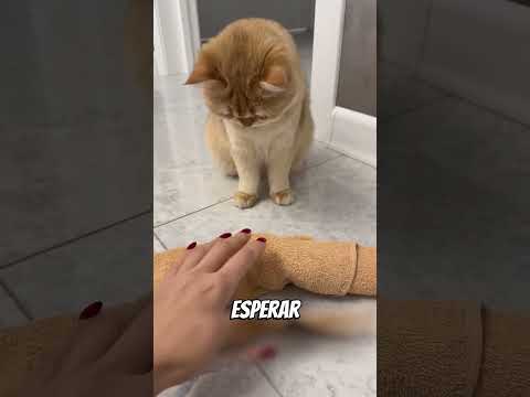 ¿Qué hay DENTRO Del Huevo? 😨