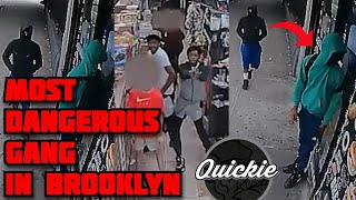 THE WAR IN BROWNSVILLE: 9 MEMBERS INDICTED FOR MULTIPLE SH**TINGS IN BROOKLYN!😳😳(Quickie#595)