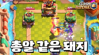 돼지들 로켓 배송 시키기 [클래시로얄] [June]