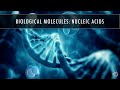 Nucleic Acids and Protein Synthesis