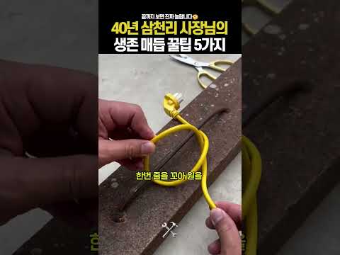 40년 경력이 알려준 생존 꿀팁 5가지