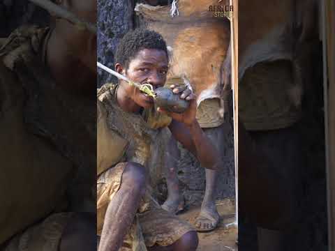 Unique Boabab Cup Crafted by Hadzabe Men for Drinking Water #shortsfeed #africantribe#hadzabetribe