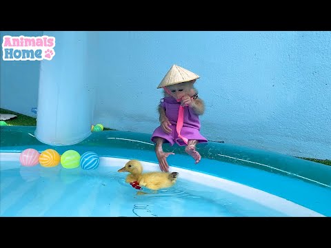 Bibi and Duckling Have a Splash-tastic Day at the Water Park