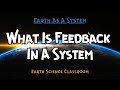 Feedback Loops in Earth Systems