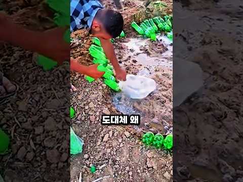 올리브나무에 물대신 탄산음료를?