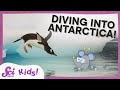 Antarctic Ecosystem and Adaptations