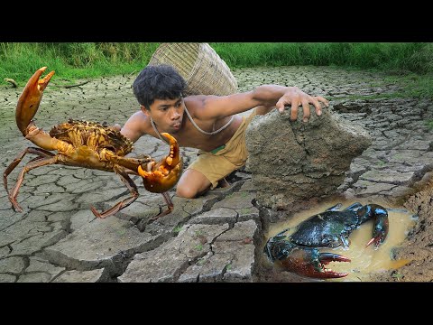 survival in the rainforest - Catch the crab in the mud - Eating Delicious