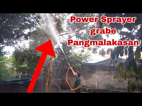 Foliar Application, Abot ang Sobrang Taas dahil sa Power Sprayer
