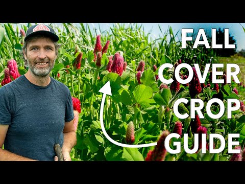 Fall Cover Cropping Simplified