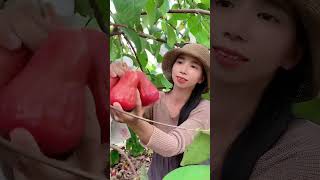 Enjoy beautiful nature with rural life 416# MP Fresh #fruit #countrylife #farming #garden