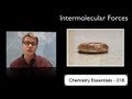 Exploring Intermolecular Forces and Their Effects