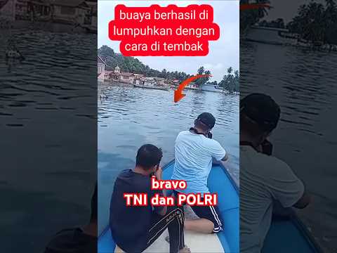 #buaya berhasil di eksekusi yg menerkam warga #shorts