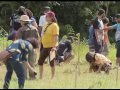 Community Nursery Engagement and Impact