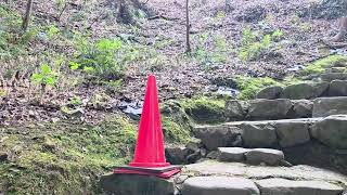 【愛媛】宇和島城まで歩いてみました