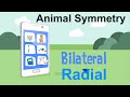 Animal Symmetry and Sensory Perception