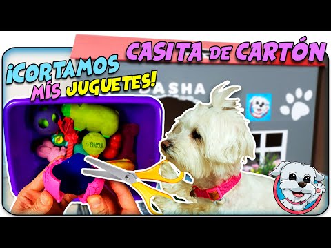 CORTANDO y ABRIENDO mis Juguetes en mi CASITA DE CARTÓN para PERROS 🐶Anima Dogs