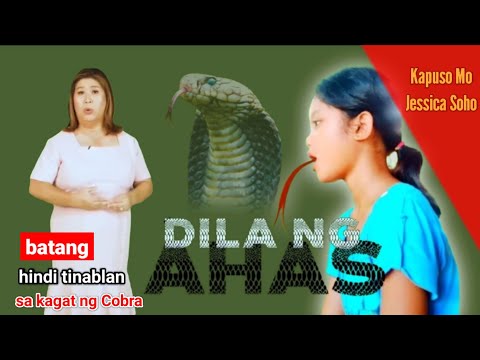 full video | Kapuso Mo Jessica Soho: batang may kambal ahas. (KMJS Parody)