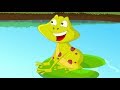 The Big Frog's Lesson
