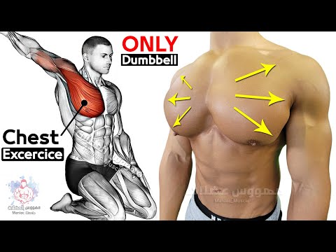🟠 Exercise Chest Workout (Dumbbells Only)