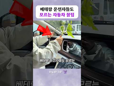 베테랑 운전자들도 모르는 자동차 꿀팁