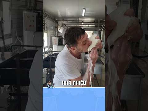 Ngon nhưng mà... | Lạ Nhỉ