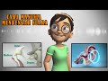 Biology: Understanding the Ear