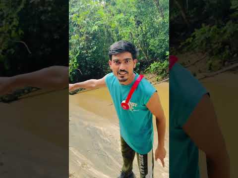 পাহাড়ি হরিণ Pahari Manush এবার দেখেন হরিণ