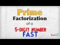 Divisibility Rules and Prime Factorization
