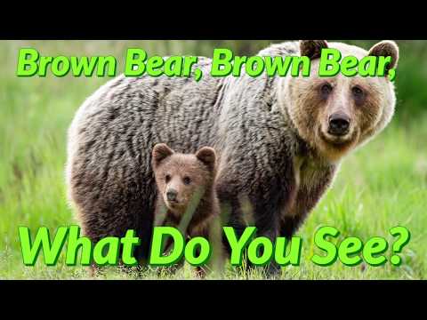 Brown Bear, Brown Bear, What Do You See? (Read Aloud) - YouTube