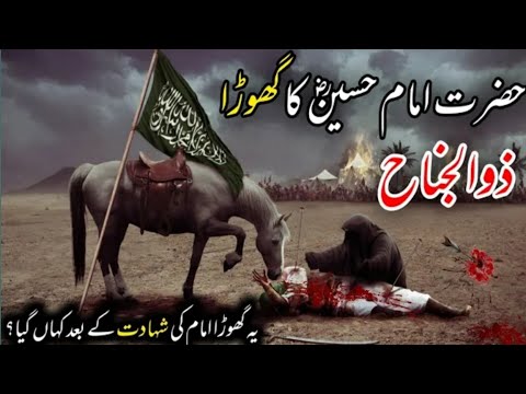 zuljanah ki tarikh aur haqeeqat | history of zuljanah kahan gaya | Islamic true info |