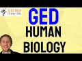 Mastering the Human Body: Levels of Organization and Systems