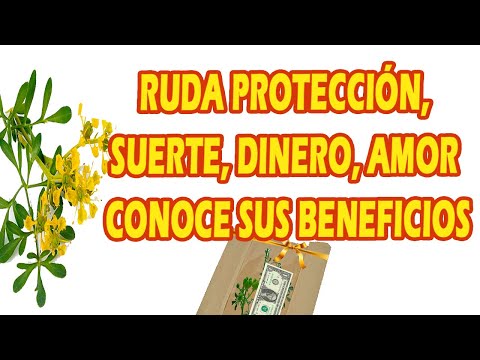 RUDA PROTECCIÓN, SUERTE, DINERO, AMOR CONOCE SUS BENEFICIOS