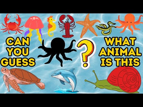 KIDS SONG: Yes Yes the Animal Song | Fun and Educational Kids Animal Song | Guess The Animals PART4