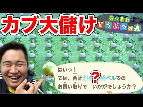 【どうぶつの森】超大量のカブ高額な島で全部売ったら〇〇〇〇〇〇〇ベルで爆儲け！？【カブ主総会】