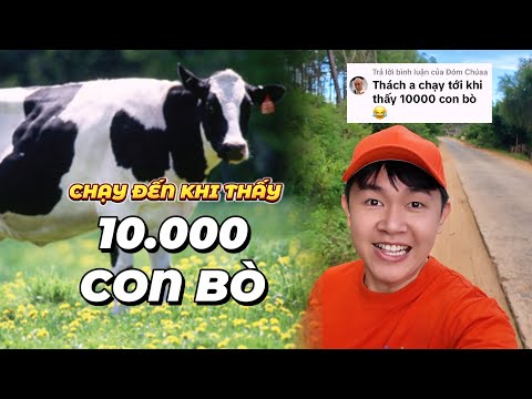 [FULL] Thử Thách: Chạy Đến Khi Thấy 10,000 Con Bò