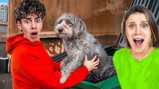 Ferran Rescued a Lost Puppy..(The Royalty Family)