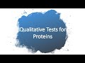 Amino Acids and Protein Tests