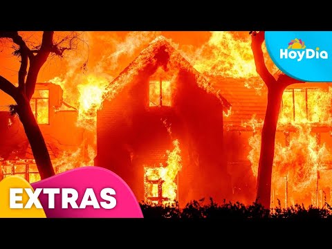 ¿Qué hacer si nuestro hogar fue afectado por un incendio? | Hoy Día | Telemundo