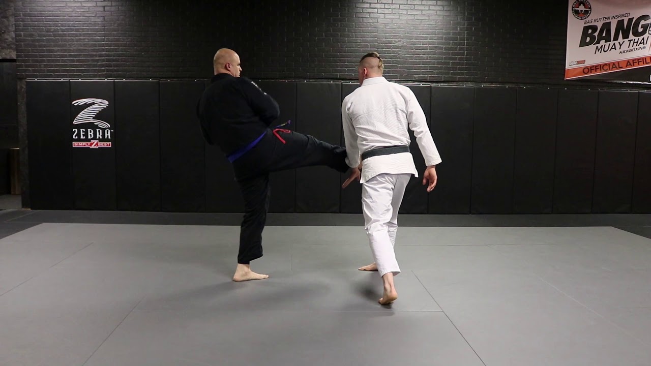 Front kick defense (with pivot)