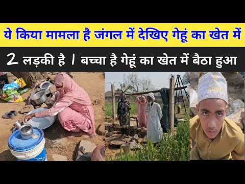 जंगल में ये किया हो रहा देखिए गेहूं खेत में बैठी लड़की
