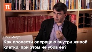 видео