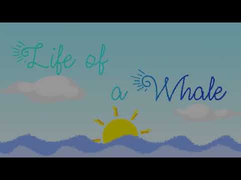 Life of a Whale Cover Image